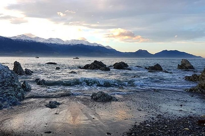 Kaikoura Day Tour with Whale Watching - Photo 1 of 5